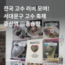 증산3교옆 | 고수 좋아하세요? 서대문구 고수 축제 방문 후기 | 증산역 @홈숍집 팝업