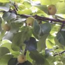 한마음기획 이미지