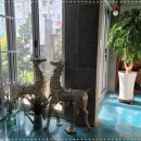 제주비전하우스 이미지