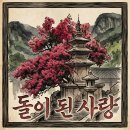 반계정에 꽃이 피지 않는 까닭 (feat.표충사 배롱나무꽃 포함) 이미지