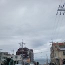 짠짜라 | 훌륭했던 제주 맛집 용출 횟집 내돈내산후기