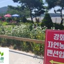 강화자연농원펜션 이미지