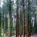 벌교홍교 이미지