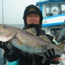 해양호민박 이미지