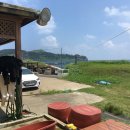 제주스쿠바아로파