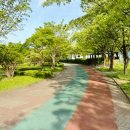 수변공원 농구코트 옆 | 안산호수공원 주말 나들이 돗자리 피크닉 / 주차장 놀이터 방문 후기