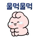 아이스앤몬스터문구안동