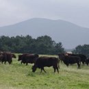 제우축산 이미지