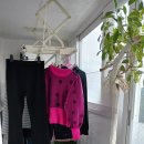 청우2차 이미지