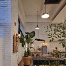 카페 봄 이미지