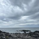 용담펜션 | ㅣ비오는 날 제주도 여행 후기DAY2 | ‘용담해안 도로’, 숙소 ‘월정힐펜션’ , ‘코난해변’ 스노쿨링...