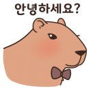 김명후다이어트복싱클럽 이미지