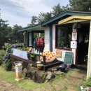 신효동-27 | 제주도 2박3일 여행 ::2일차 (황우지해안, 공천포식당, 검은모래해변, 베케, 정방 폭포, 하도해수욕장...