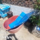 서부종합타이어 이미지