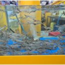 천지대게 이미지