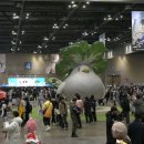 드래곤자동차정비 이미지