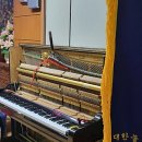 선원상회 이미지