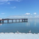 쓰리고짱 이미지