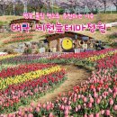 고현제2세천 | 대구 세천늪테마정원 튤립 벚꽃 실시간 개화 후기 포토존 추천까지