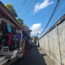 333001 | [12] 발리 살아보기- 먹고 놀고 자고 우리의 마지막 발리 정리