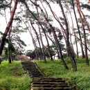 송강유도관 이미지