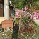 선애황토방 이미지