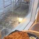 마루콩콩 이미지