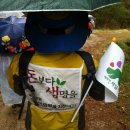 지리산큰나무 이미지