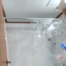 대우드림채아파트 네이버블로그