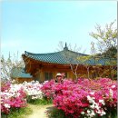 큰집 즐생 속초 봄소풍~` 이미지