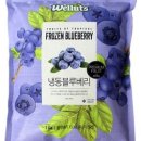 바나나 블루베리 케일 쉐이크로 13kg 감량한 후기 (쉐이크 레시피 &amp; 다이어트 과정 공유)복싱과 함께한...