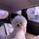 그루밍마벨 이미지