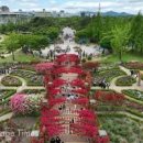 한밭수목원 이미지