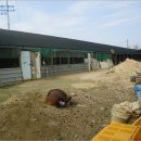 괴평리 마을회관 이미지