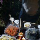 대파니 힐링팜 이미지