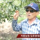 자풍농장 이미지