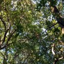 전북산림환경연구소(산림청) 이미지