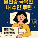 불면증 탈출기🌙 내가 만든 수면 루틴 공개 (영양제 2달 후기 포함)