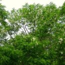 향기5로 이미지