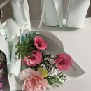 졸리쁘띠