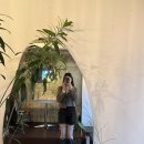 아우토그라프 이미지