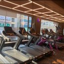 에스투짐 이미지