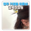 골목미장원 | 청주 가경동 미용실 추천 골목미장원 염색 후기