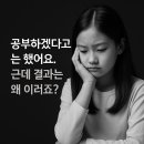 제주중앙중학교 이미지