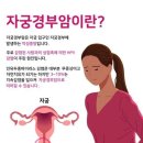 자궁경부암 주사 맞았는다는 남돌.twt 이미지