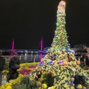 가고파 | 마산가고파국화축제 실시간 방문후기 국화개화 행사일정