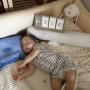 동환목장 | [여행] 제주도에서 2주일 살아보기 1편🍊