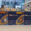 그린동물약국 이미지