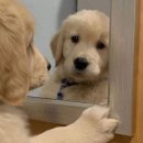 예스안과의원 이미지