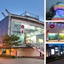 계곡과소나무 캠핑장 이미지